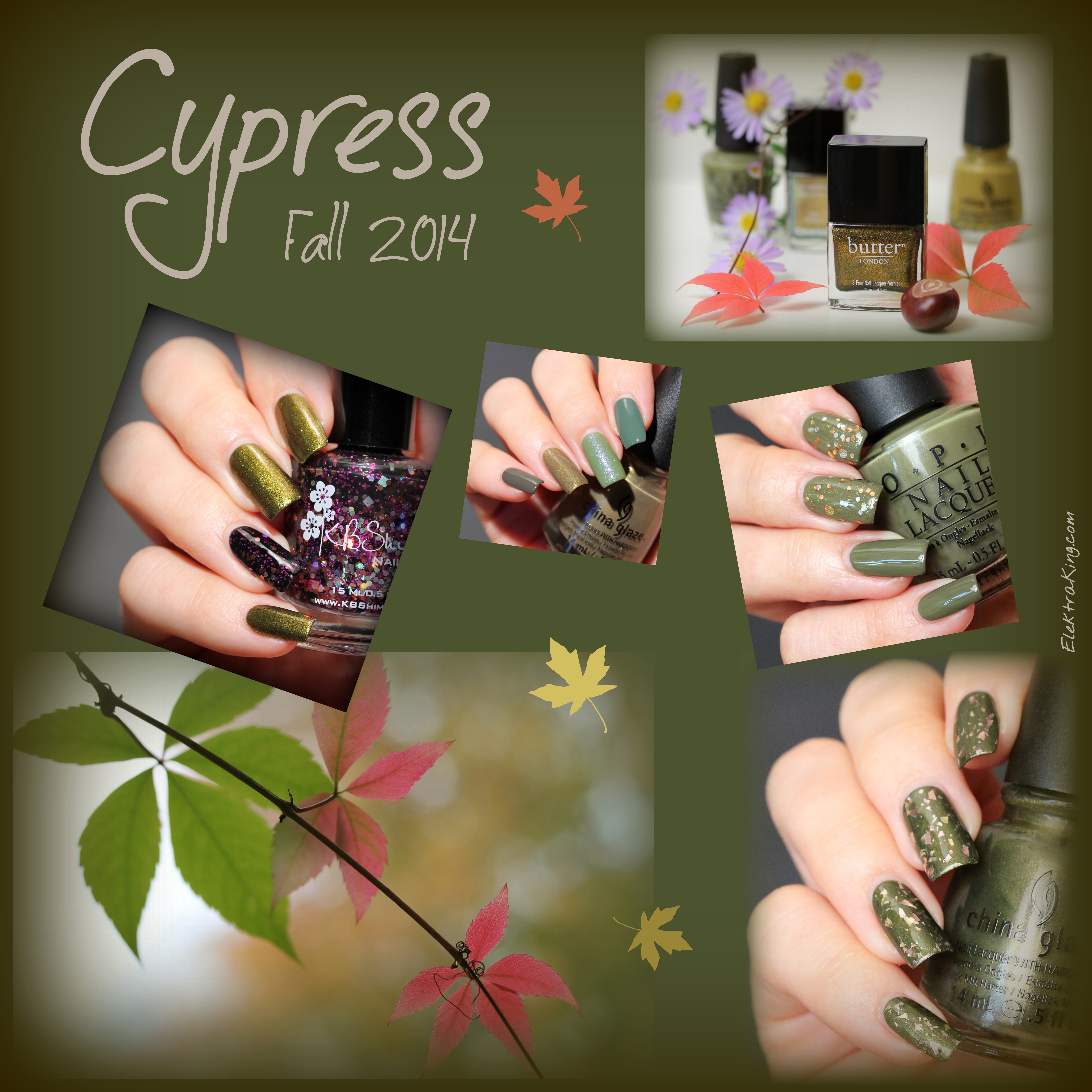 Color Trend Fall 2014: CYPRESS